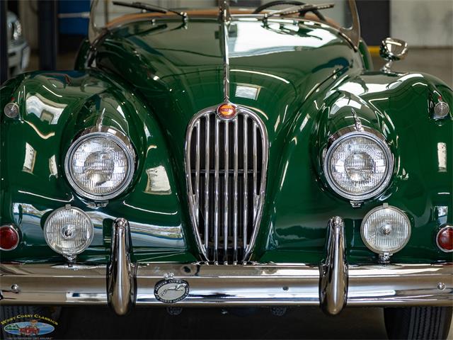 1955 Jaguar Roadster (CC-2082572) for sale in Torrance, California
