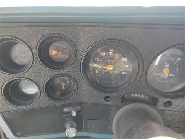 1981 Chevrolet Custom (CC-2082577) for sale in Cadillac, Michigan