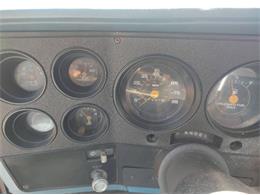 1981 Chevrolet Custom (CC-2082577) for sale in Cadillac, Michigan