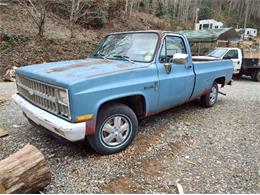 1981 Chevrolet Custom (CC-2082577) for sale in Cadillac, Michigan