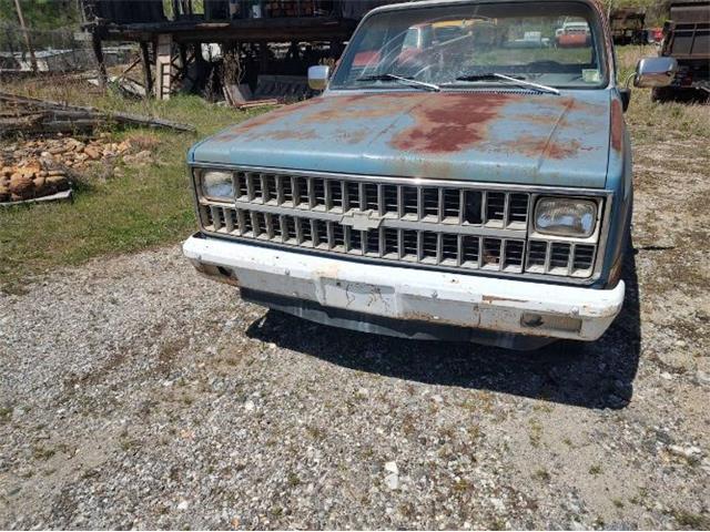 1981 Chevrolet Custom (CC-2082577) for sale in Cadillac, Michigan