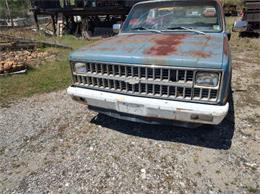 1981 Chevrolet Custom (CC-2082577) for sale in Cadillac, Michigan