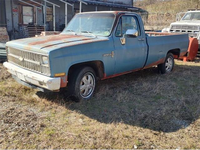 1981 Chevrolet Custom (CC-2082577) for sale in Cadillac, Michigan