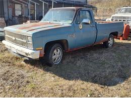 1981 Chevrolet Custom (CC-2082577) for sale in Cadillac, Michigan