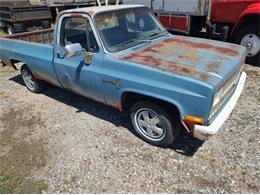 1981 Chevrolet Custom (CC-2082577) for sale in Cadillac, Michigan