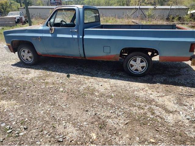 1981 Chevrolet Custom (CC-2082577) for sale in Cadillac, Michigan