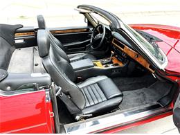 1989 Jaguar Convertible (CC-2082589) for sale in Hingham, Massachusetts