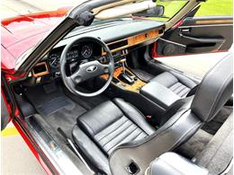 1989 Jaguar Convertible (CC-2082589) for sale in Hingham, Massachusetts
