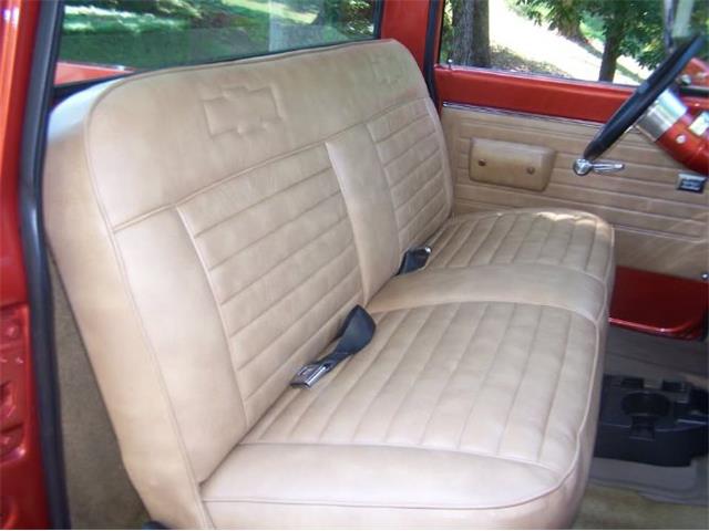 1970 Chevrolet C10 (CC-2082592) for sale in Cadillac, Michigan