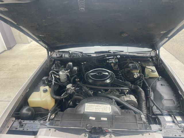 1984 Buick Park Avenue (CC-2080260) for sale in Mill Hall, Pennsylvania