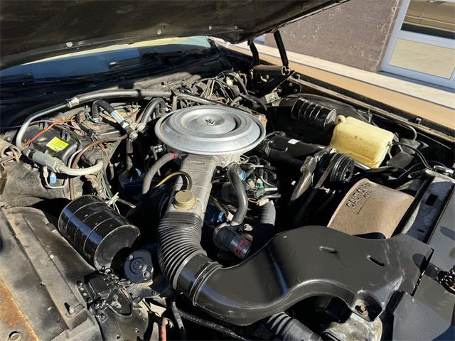 1979 Lincoln Continental (CC-2082621) for sale in Henderson, Nevada