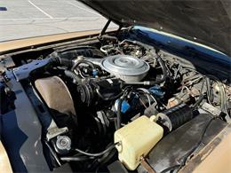 1979 Lincoln Continental (CC-2082621) for sale in Henderson, Nevada