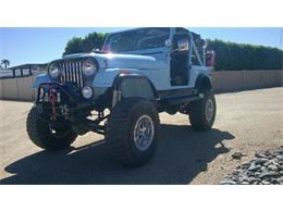 1979 AMC Jeep Laredo (CC-2082626) for sale in Cadillac, Michigan