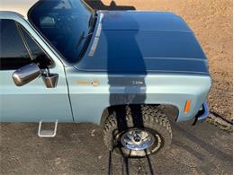 1978 Chevrolet C/K (CC-2082632) for sale in Fredericksburg, Texas