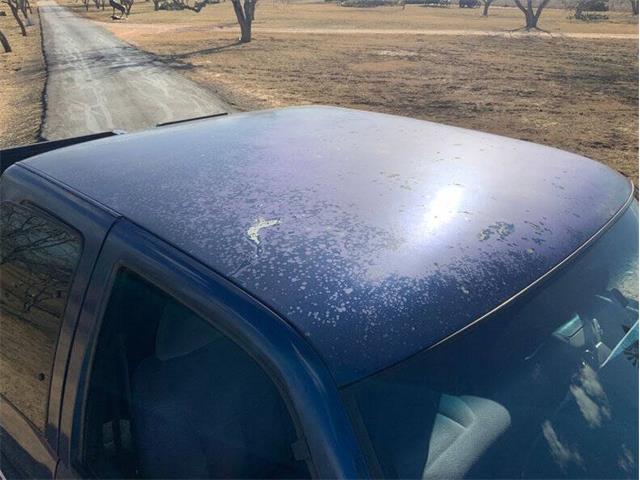 1995 Chevrolet 1500 (CC-2082641) for sale in Fredericksburg, Texas