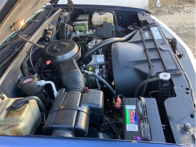 1995 Chevrolet 1500 (CC-2082641) for sale in Fredericksburg, Texas