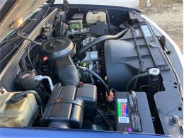 1995 Chevrolet 1500 (CC-2082641) for sale in Fredericksburg, Texas