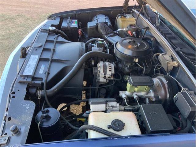 1995 Chevrolet 1500 (CC-2082641) for sale in Fredericksburg, Texas