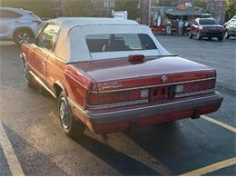 1986 Chrysler LeBaron (CC-2082660) for sale in Cadillac, Michigan