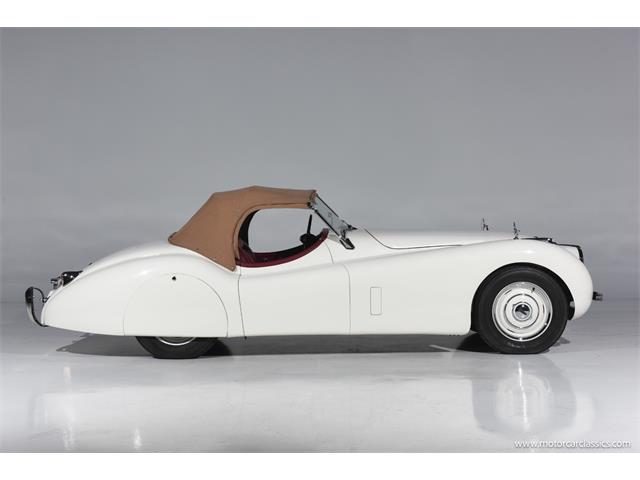 1951 Jaguar XK (CC-2082709) for sale in Farmingdale, New York