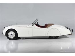 1951 Jaguar XK (CC-2082709) for sale in Farmingdale, New York