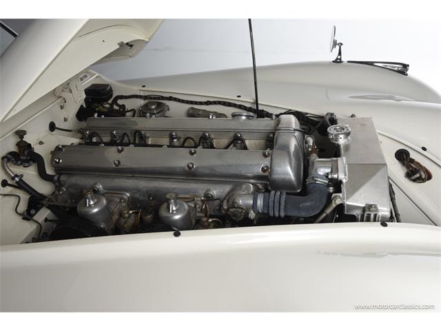 1951 Jaguar XK (CC-2082709) for sale in Farmingdale, New York