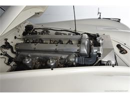 1951 Jaguar XK (CC-2082709) for sale in Farmingdale, New York