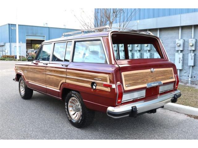 1985 Jeep Wagoneer (CC-2082714) for sale in Cadillac, Michigan