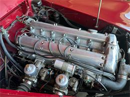 1954 Jaguar XK120M/SE (CC-2080277) for sale in OAKLAND, California