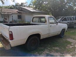 1978 Dodge Pickup (CC-2082790) for sale in Cadillac, Michigan