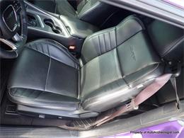 2016 Dodge Challenger SRT Hellcat (CC-2080280) for sale in Middletown, Connecticut