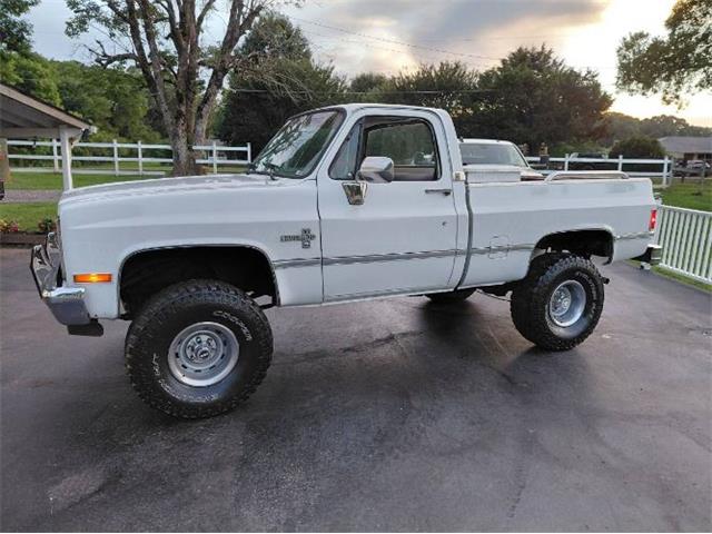 1987 Chevrolet Silverado (CC-2082810) for sale in Cadillac, Michigan