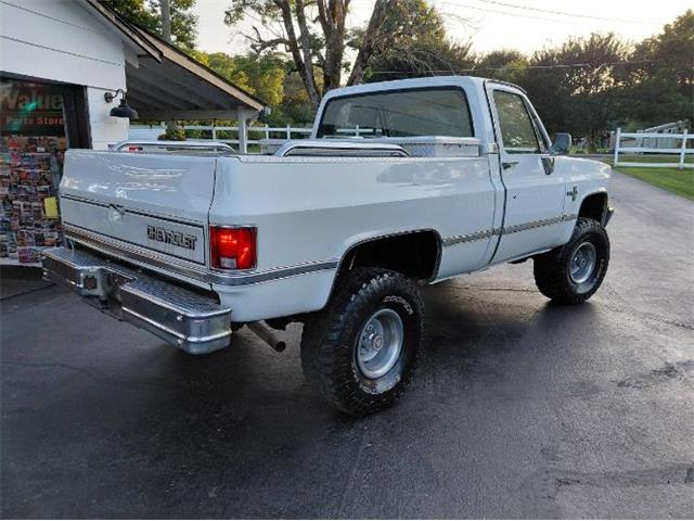 1987 Chevrolet Silverado (CC-2082810) for sale in Cadillac, Michigan