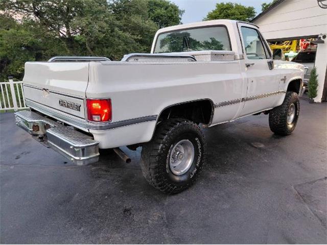 1987 Chevrolet Silverado (CC-2082810) for sale in Cadillac, Michigan