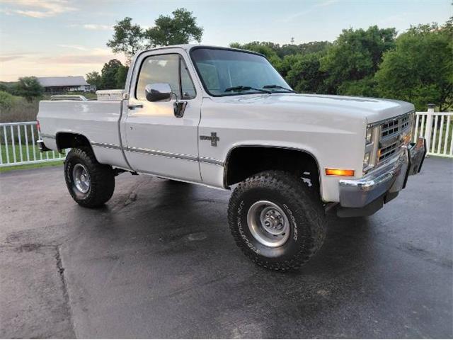 1987 Chevrolet Silverado (CC-2082810) for sale in Cadillac, Michigan