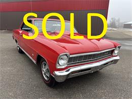 1966 Chevrolet Nova (CC-2082848) for sale in Annandale, Minnesota