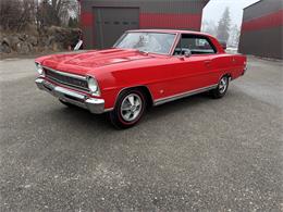 1966 Chevrolet Nova (CC-2082848) for sale in Annandale, Minnesota