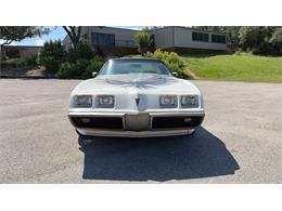 1980 Pontiac Firebird Trans Am Pace Car (CC-2082855) for sale in Spring Branch, Texas