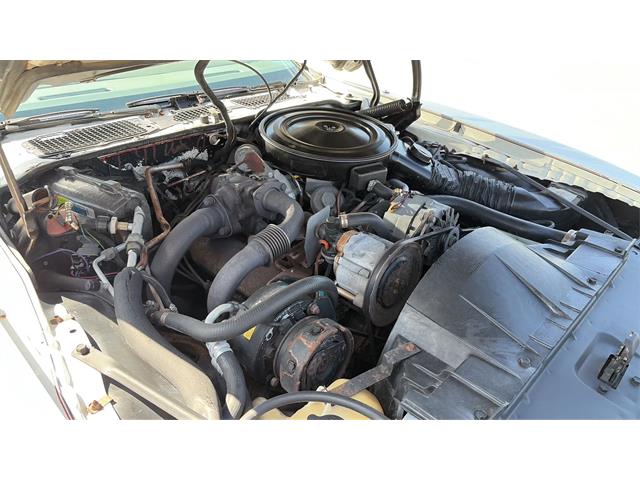 1980 Pontiac Firebird Trans Am Pace Car (CC-2082855) for sale in Spring Branch, Texas