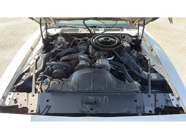1980 Pontiac Firebird Trans Am Pace Car (CC-2082855) for sale in Spring Branch, Texas