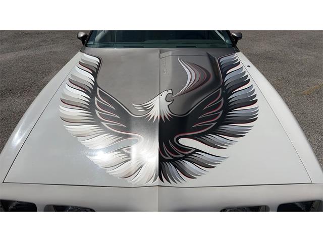 1980 Pontiac Firebird Trans Am Pace Car (CC-2082855) for sale in Spring Branch, Texas