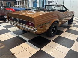 1973 Ford Convertible (CC-2082883) for sale in Annandale, Minnesota