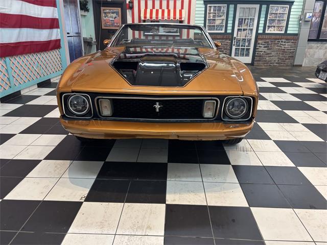 1973 Ford Convertible (CC-2082883) for sale in Annandale, Minnesota