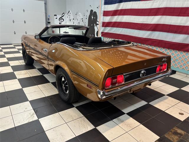 1973 Ford Convertible (CC-2082883) for sale in Annandale, Minnesota