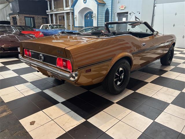 1973 Ford Convertible (CC-2082883) for sale in Annandale, Minnesota