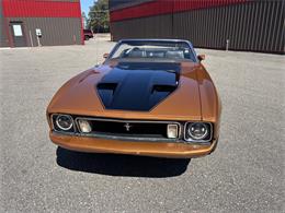1973 Ford Convertible (CC-2082883) for sale in Annandale, Minnesota