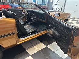 1973 Ford Convertible (CC-2082883) for sale in Annandale, Minnesota