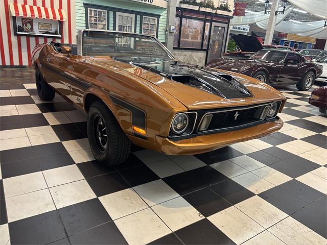 1973 Ford Convertible (CC-2082883) for sale in Annandale, Minnesota