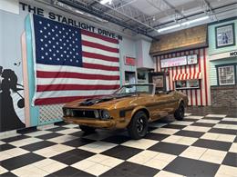 1973 Ford Convertible (CC-2082883) for sale in Annandale, Minnesota