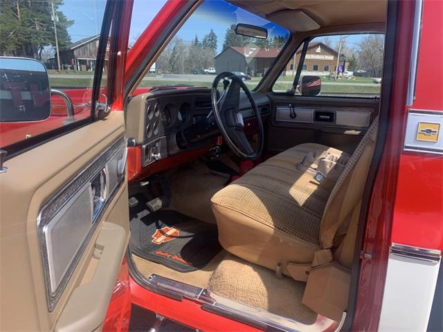 1980 Chevrolet Cheyenne (CC-2082895) for sale in Annandale, Minnesota